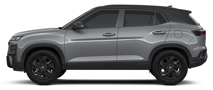 Shadow Gray with Black Roof